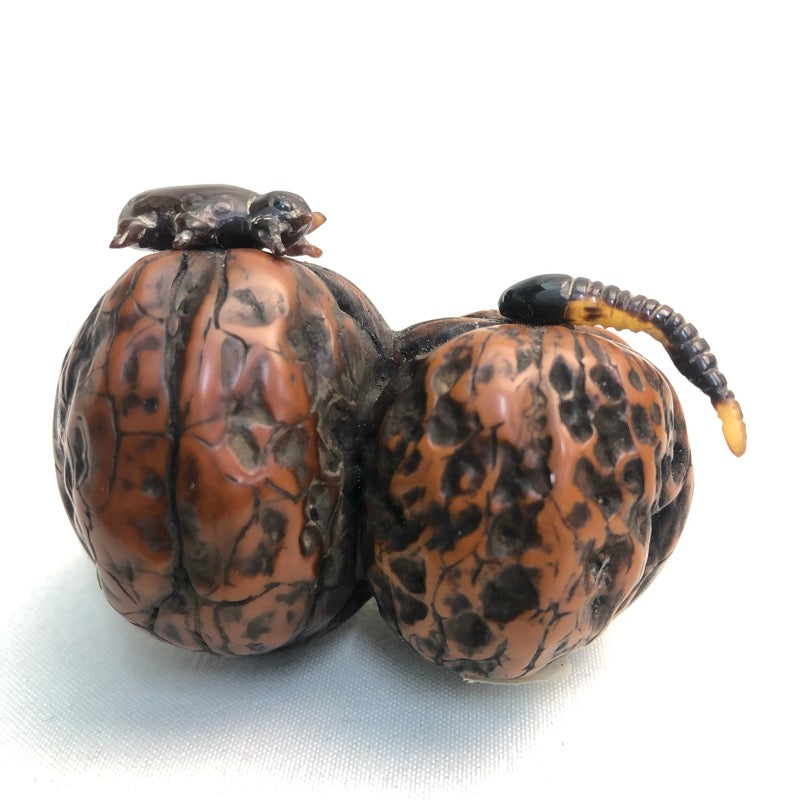 Chinese Twin Walnut Snuff Bottle 鼻烟壶